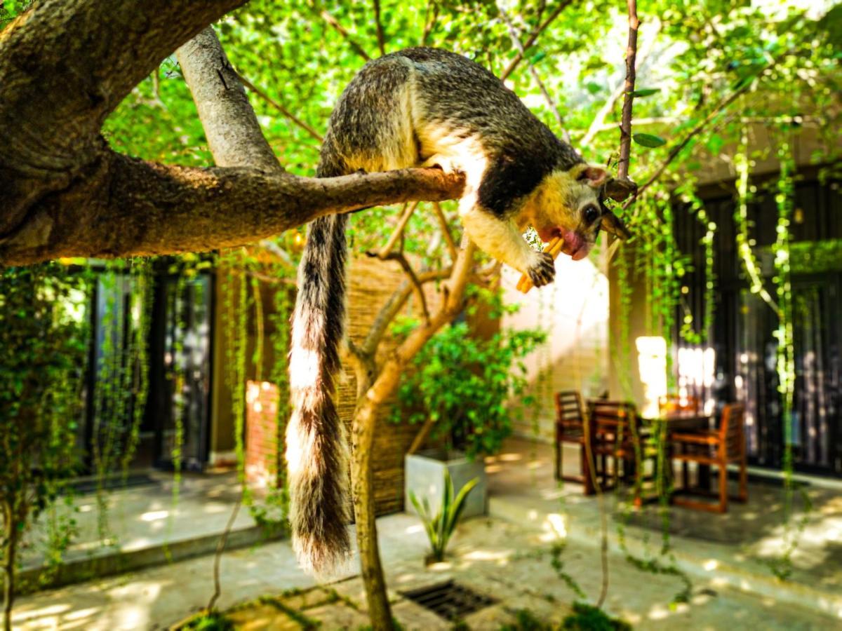 Isi Arana Eco Villa アヌラーダプラ エクステリア 写真